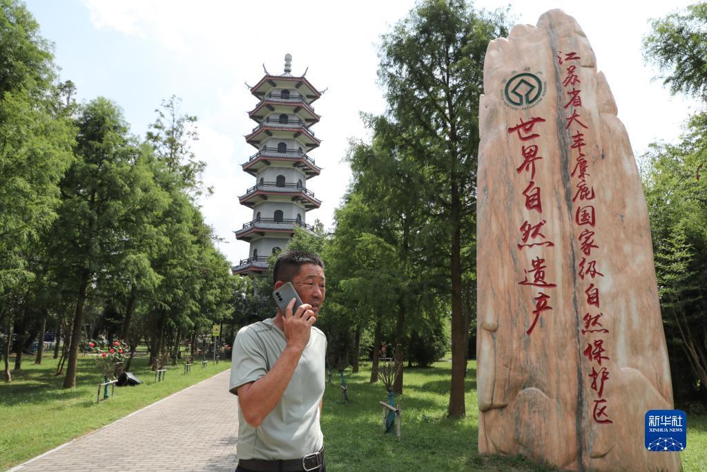 威乐吉祥棋牌